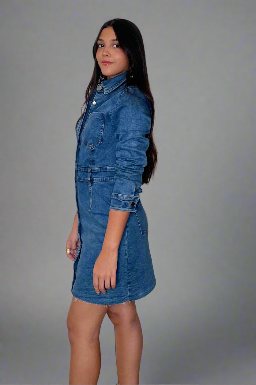 Sara Denim Dress