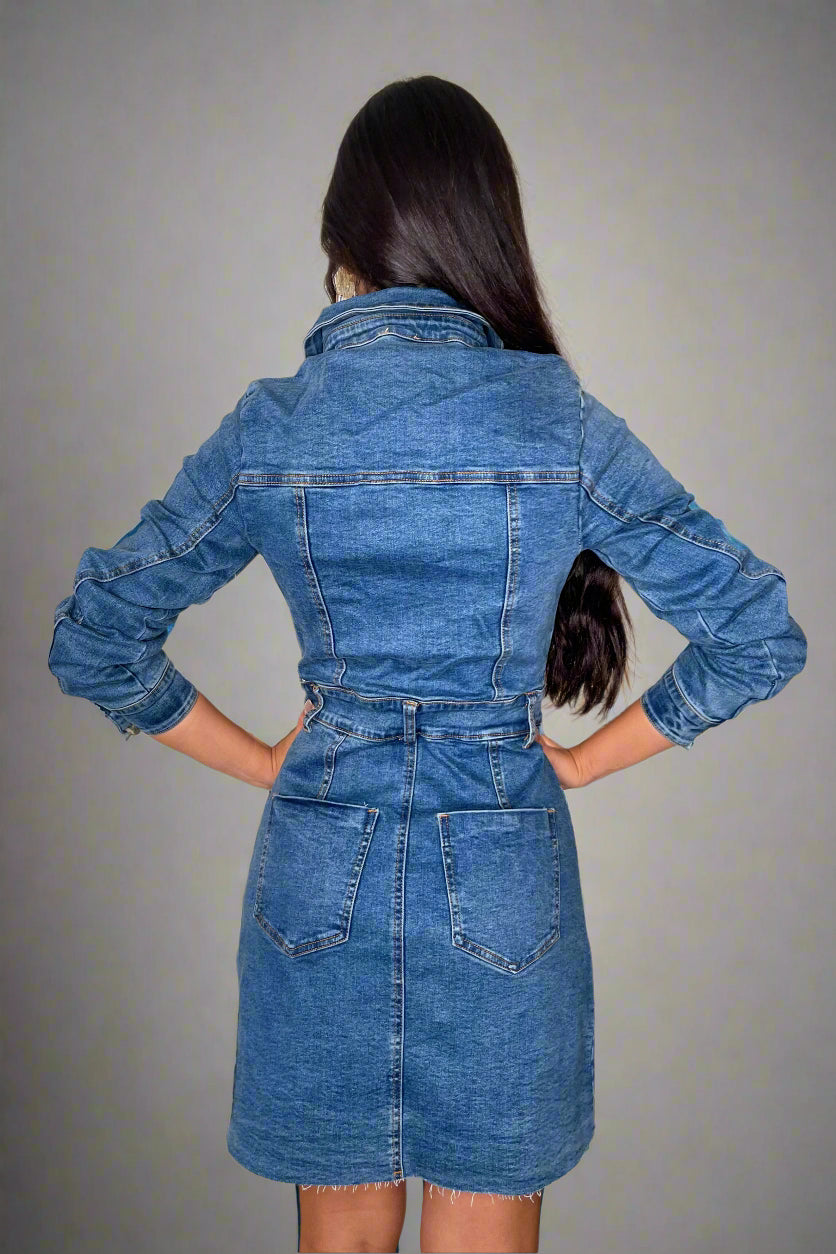 Sara Denim Dress